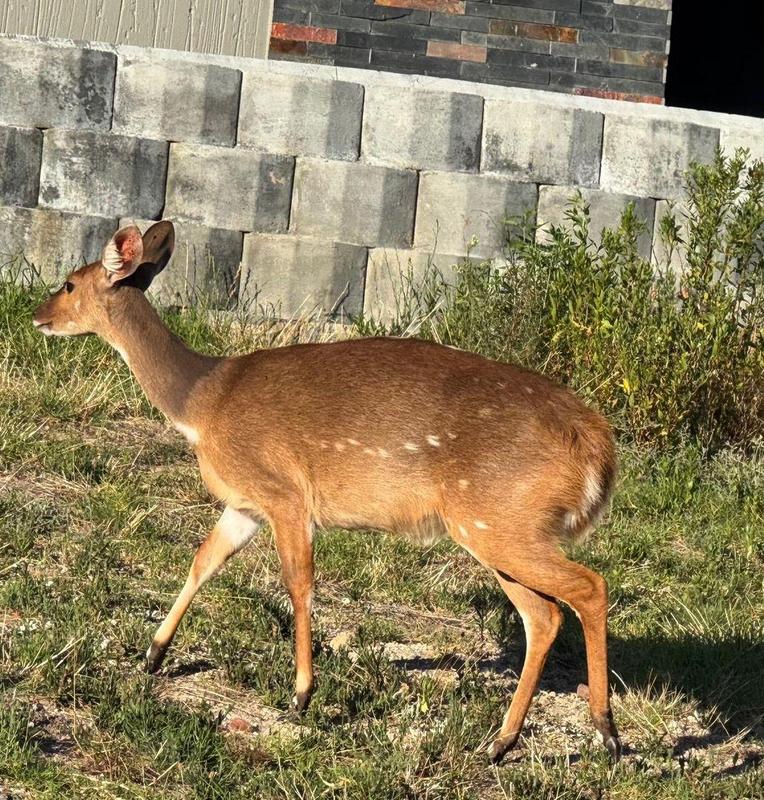 4 Bedroom Property for Sale in Num Num Cape Estate Western Cape